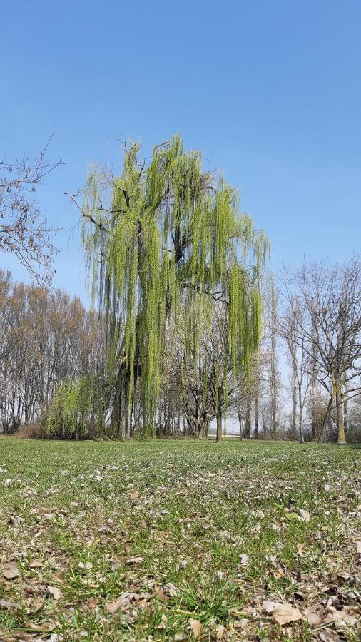La Locanda Nel Frutteto Rovereto sulla Secchia Dış mekan fotoğraf